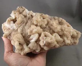 Large Stilbite Crystal Cluster from Bay of Fundy Nova Scotia (1b)